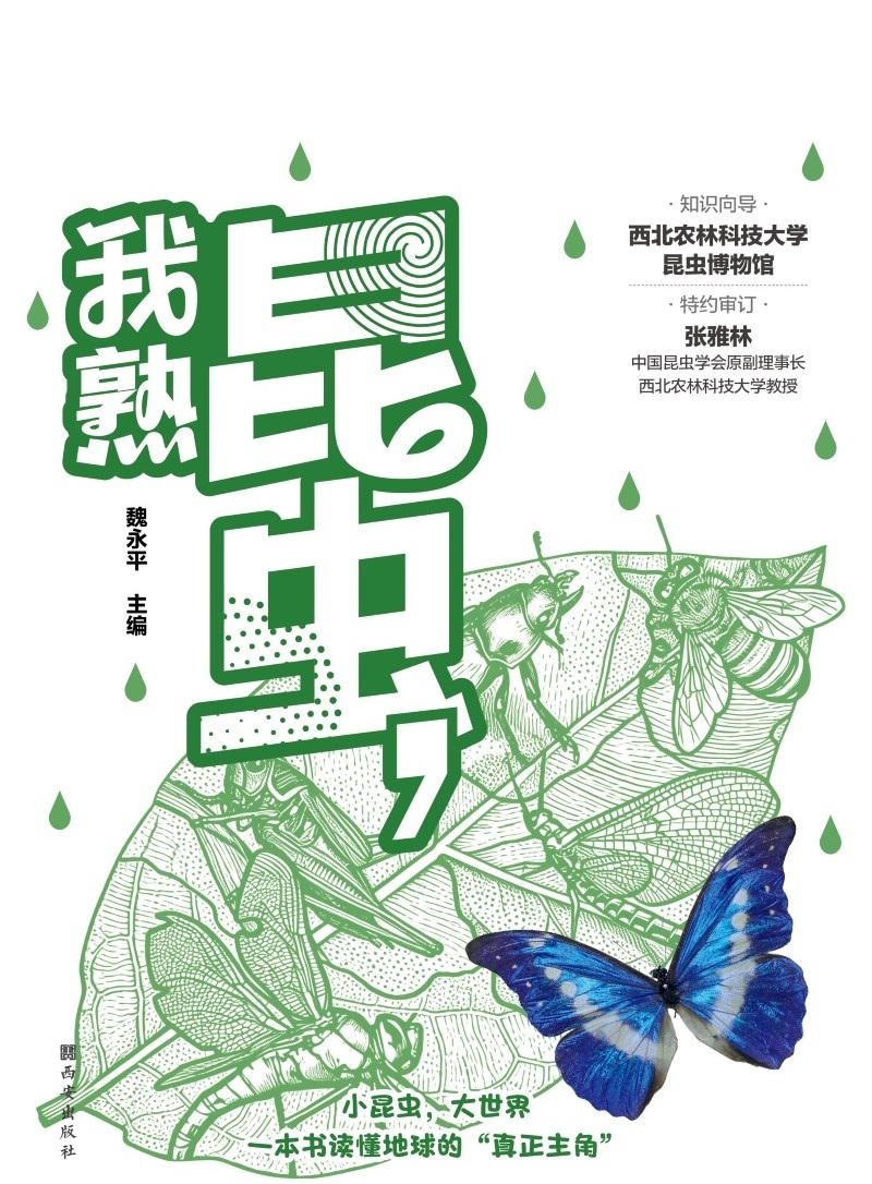 昆虫，我熟